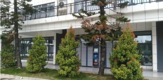 石家莊學機器人技術應用該去哪？