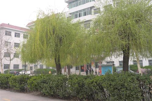 學(xué)習(xí)高鐵乘務(wù)專業(yè)怎么樣？   