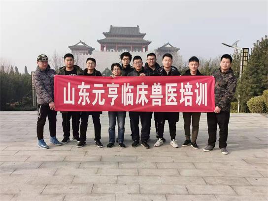 想當(dāng)獸醫(yī)要學(xué)什么？   