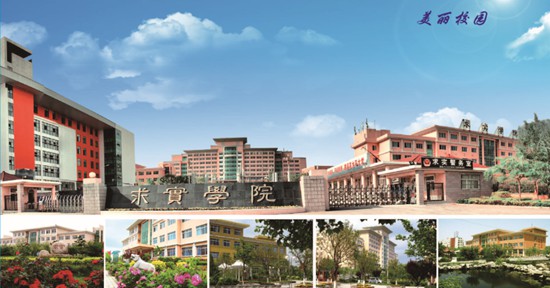 青島哪所學(xué)校開(kāi)設(shè)了空中乘務(wù)專業(yè)？