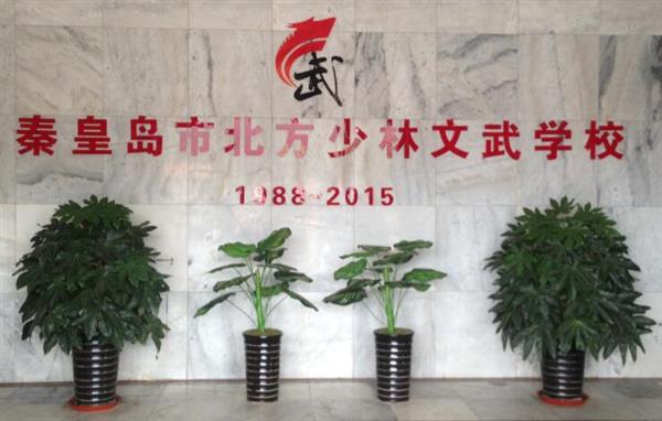秦皇島北方少林文武學(xué)校就業(yè)如何？這答案你放心！