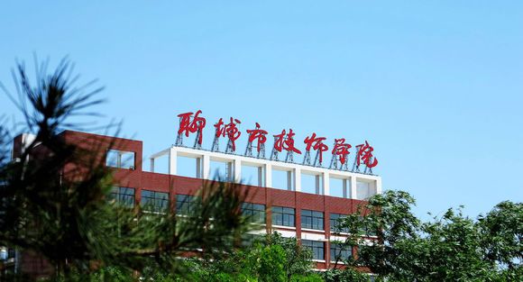 聊城市技師學(xué)院有計(jì)算機(jī)專業(yè)嗎？