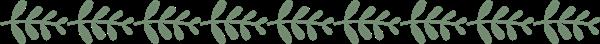 石家莊平安醫(yī)學(xué)中等專業(yè)學(xué)校地址在哪？