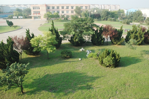 山東龍口礦業(yè)集團高級技工學(xué)校老師們教學(xué)怎么樣？升學(xué)率高嗎？
