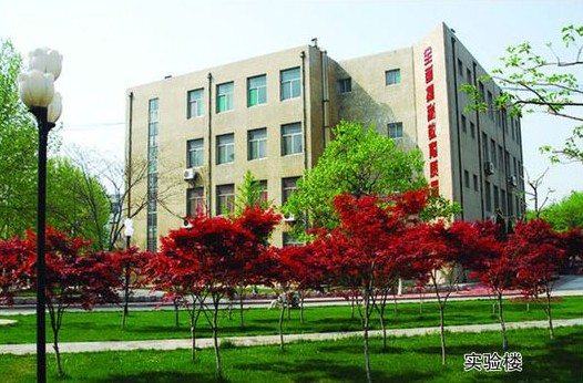 淄博市工業(yè)學(xué)校開(kāi)設(shè)哪些計(jì)算機(jī)課程？