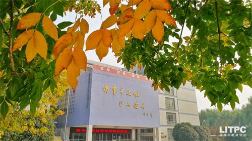 洛陽學(xué)電子商務(wù)去哪里？學(xué)電子商務(wù)去洛陽哪所學(xué)校？