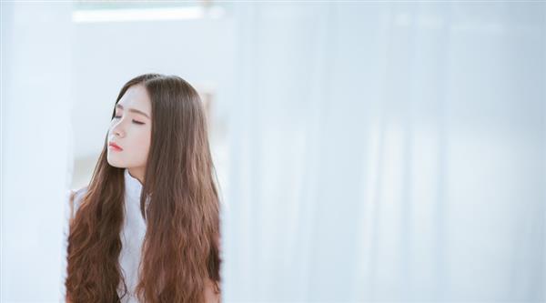 石家莊東方學(xué)院都開設(shè)了哪些專業(yè)？