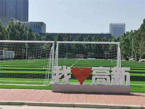 保定高新技工學(xué)校有計算機專業(yè)嗎？   