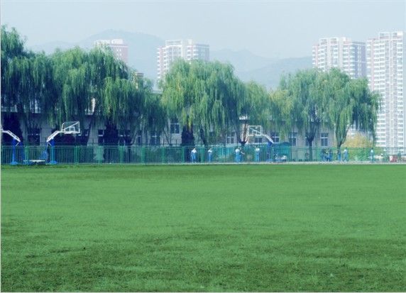 青島滿(mǎn)天星職業(yè)培訓(xùn)學(xué)校怎么樣？