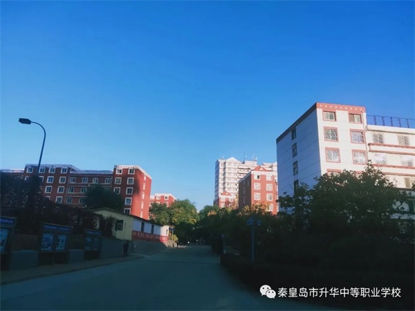 河北哪所學(xué)校開設(shè)了電商專業(yè)？