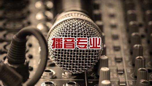 北京吉利學院華視傳媒學院有藝術相關專業(yè)嗎？