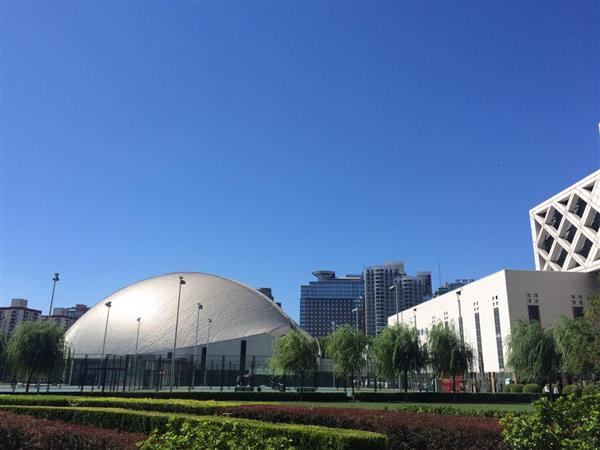 北京國(guó)際青年研修學(xué)院都開設(shè)哪些專業(yè)？