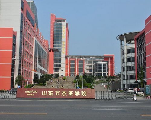 山東萬(wàn)杰醫(yī)學(xué)院優(yōu)勢(shì)有哪些？