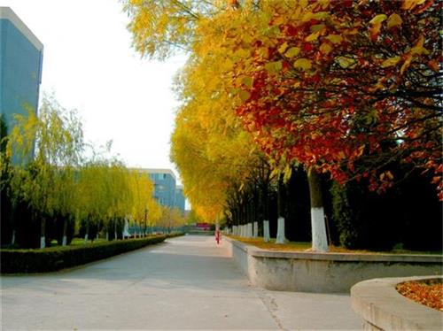 北京現(xiàn)代體育學(xué)院、航空乘務(wù)學(xué)院設(shè)施好嗎？