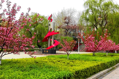 選擇齊魯技術(shù)學(xué)院學(xué)幼師怎么樣？