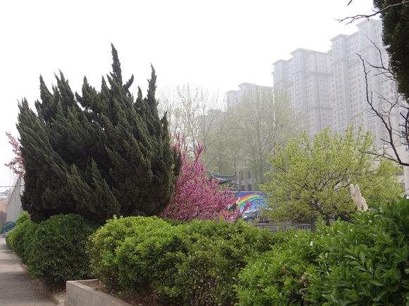 煙臺天虹學院怎么樣？