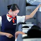 航空服務(wù)（票務(wù)、安檢方向）、航空乘務(wù)定向委培