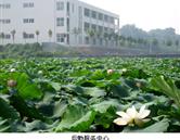 鄭州澍青醫(yī)學(xué)高等?？茖W(xué)校